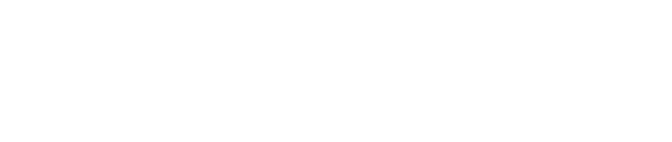 logo academia singer